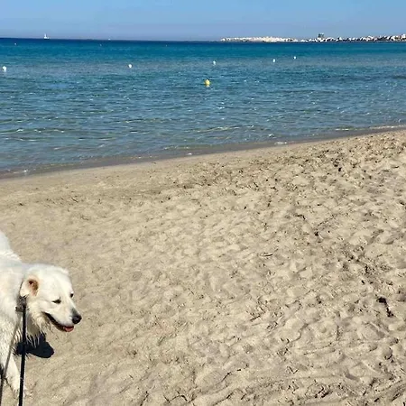 Apartment Attico In Riva Al Mare *